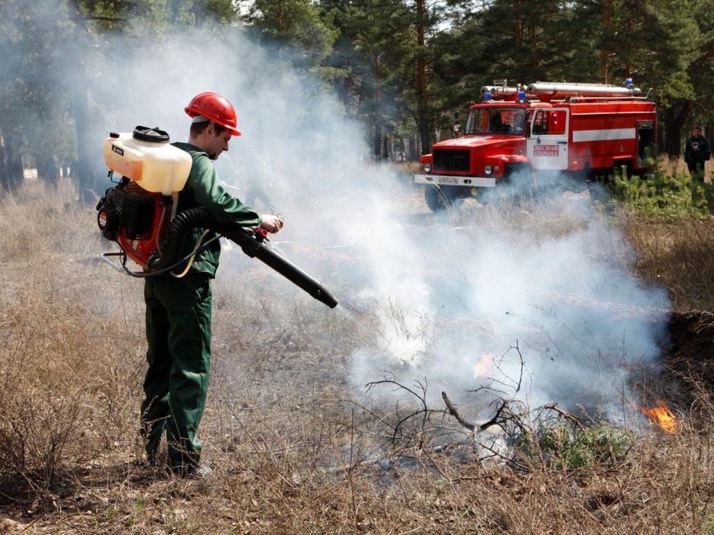 В России появилась новая профессия – лесной пожарный