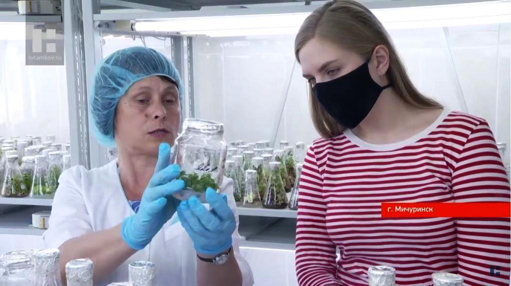 Преподаватель из Тамбовской области обучает педагогов аграрных колледжей основам биотехнологии
