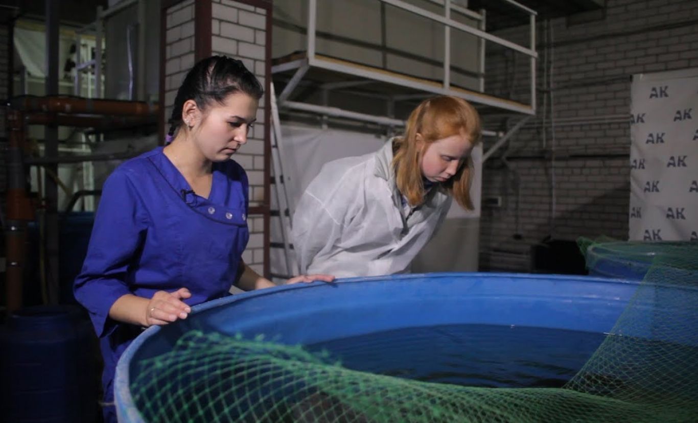 В Эльхотовском колледже студентов начнут обучать ихтиологии-рыбоводству