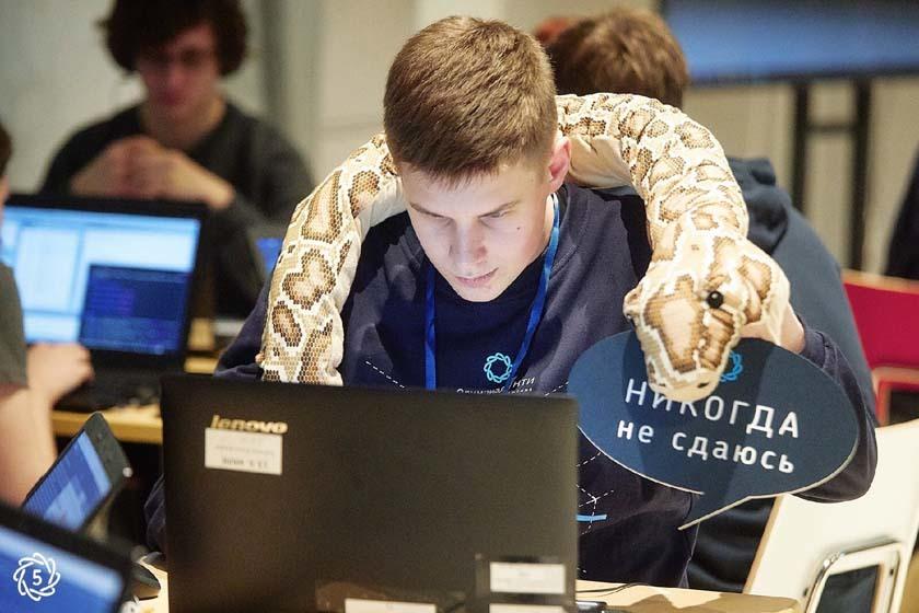 «Код для всех»: Кружковое движение НТИ и ведущие IT-компании оплатят стажировки молодым программистам