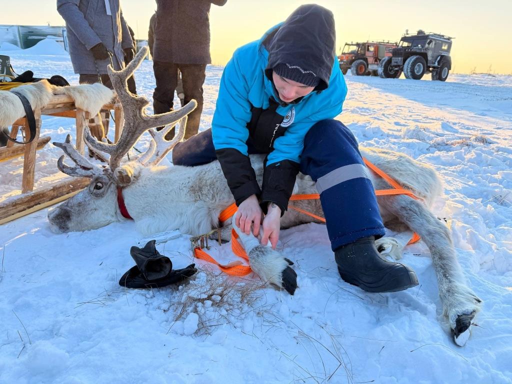 В Красноярском крае завершается региональный чемпионат «Профессионалы»